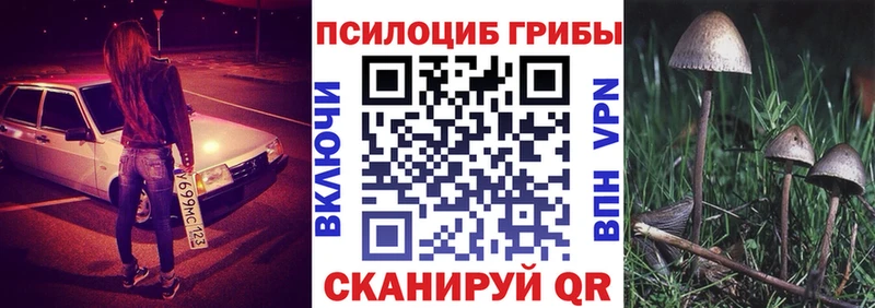 Купить где  Далматово  Псилоцибиновые грибы ЛСД 