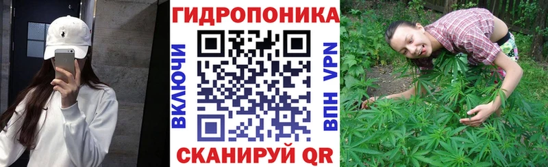 Купить  Далматово  Марихуана планчик 